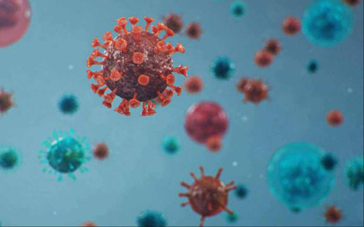 Pandemia tem dominado os países do sul da América Latina Pandemia tem dominado os países do sul da América Latina