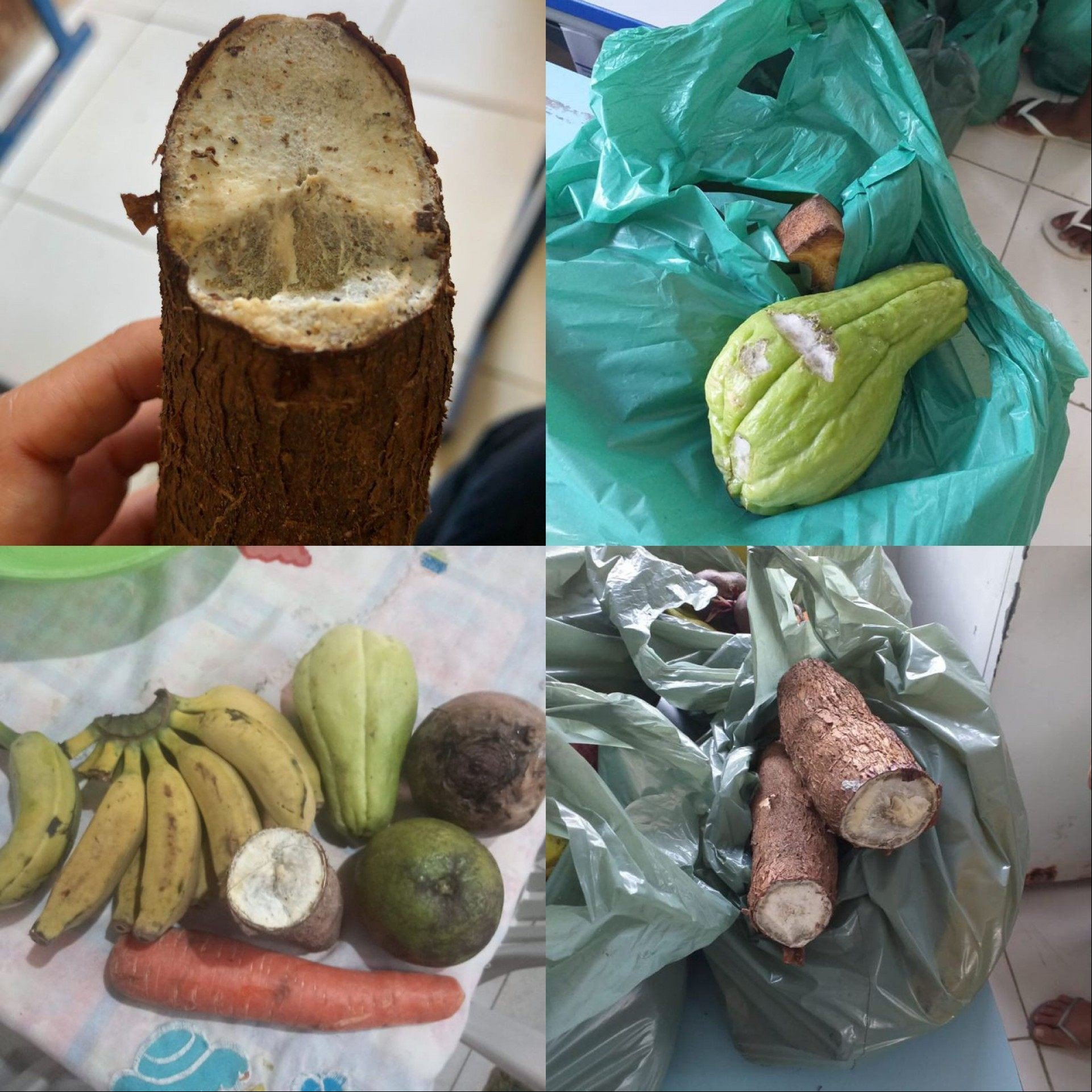Pais dos alunos da rede municipal reclamaram dos legumes doados pela prefeitura por estarem boa parte estragados - Internet